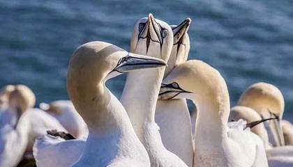 武穴伴游,定制QQ:3494206190微信:act1322